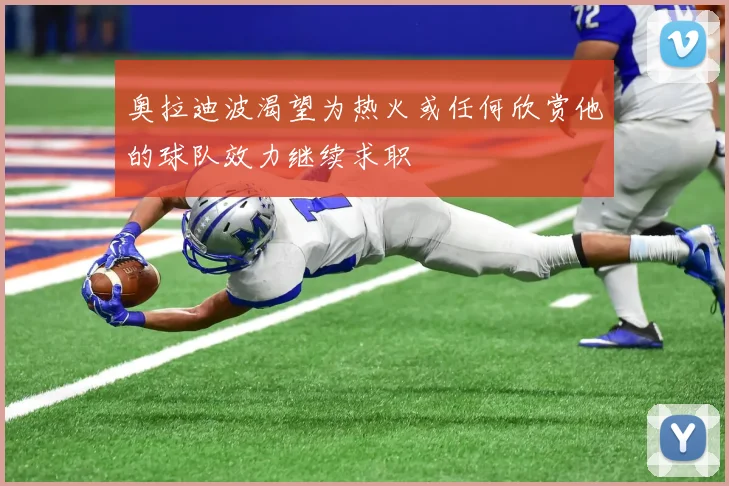 奥拉迪波渴望为热火或任何欣赏他的球队效力继续求职